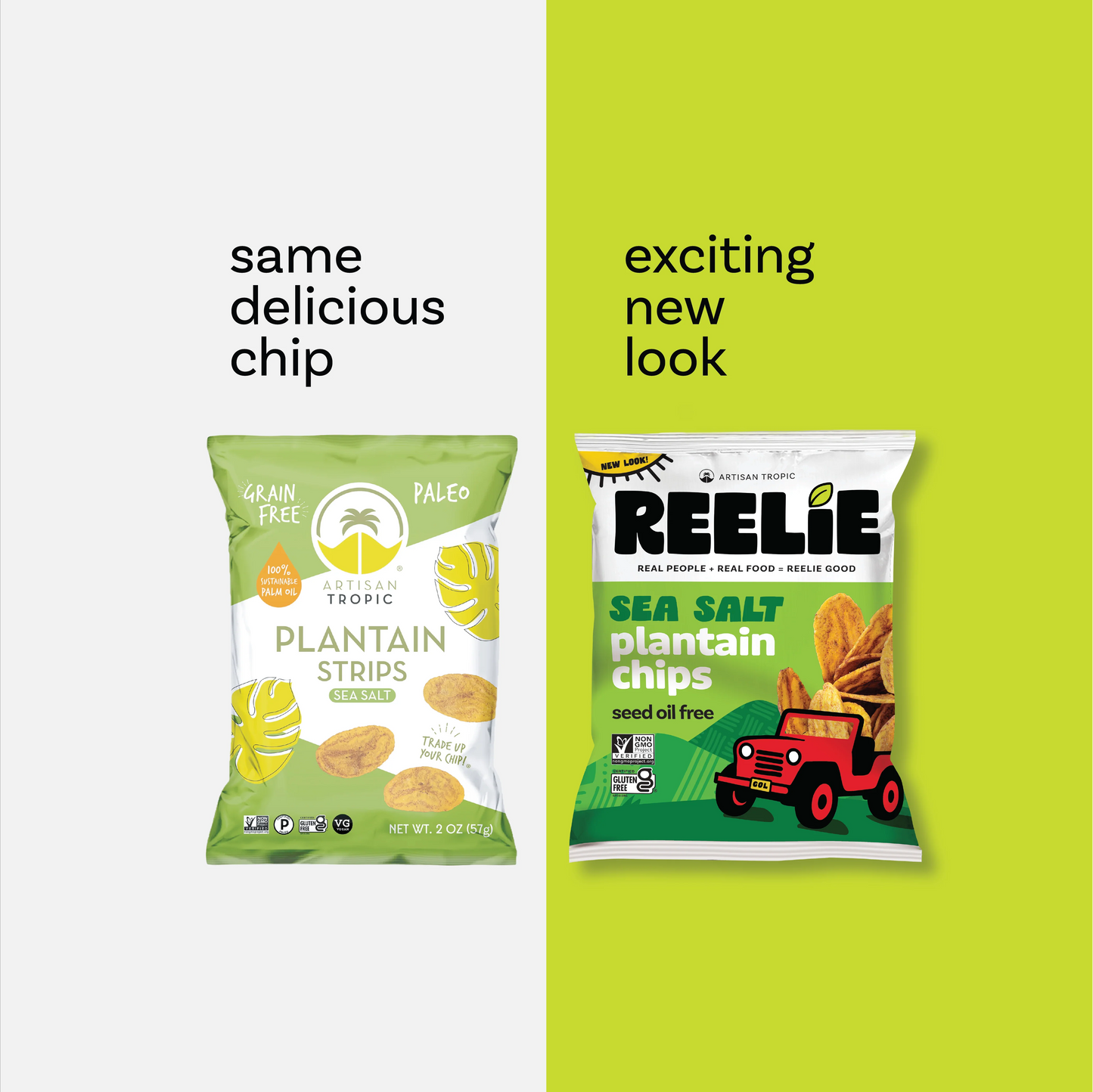 Sea Salt Plantain Chips