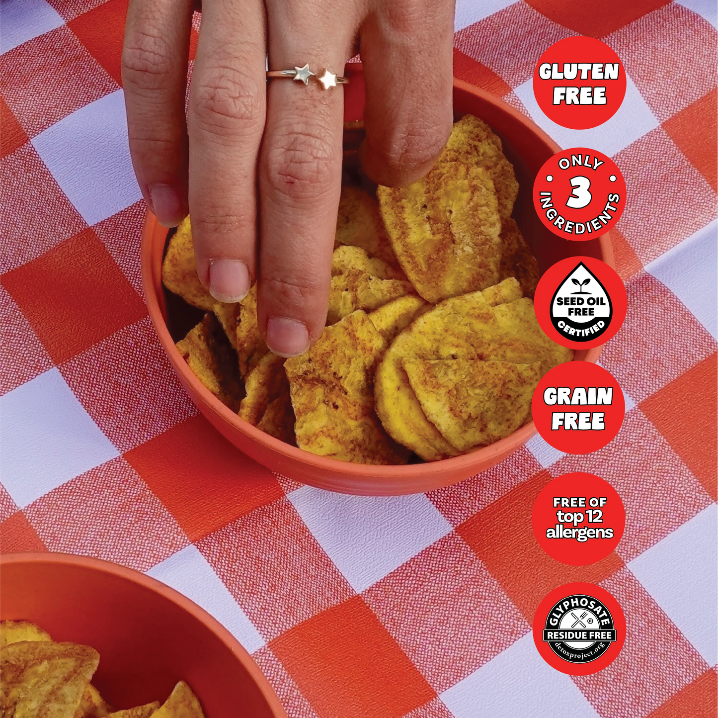 Sea Salt Plantain Chips